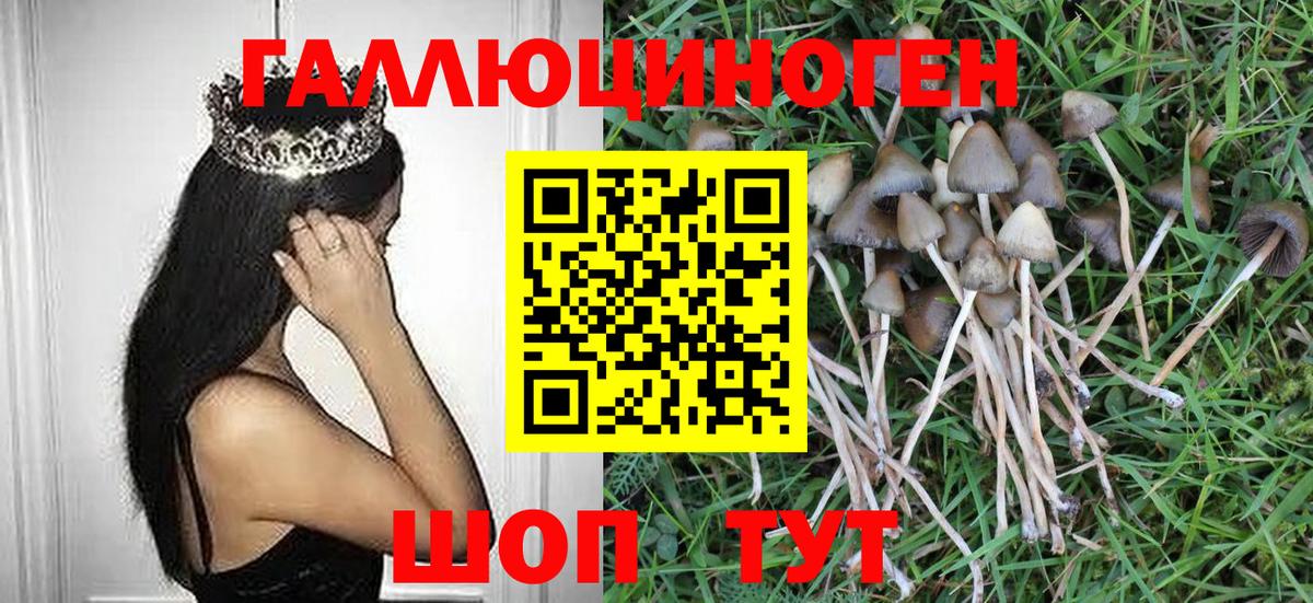 где купить   Галлюциногенные грибы GOLDEN TEACHER  Вход с VPN  Ишимбай 